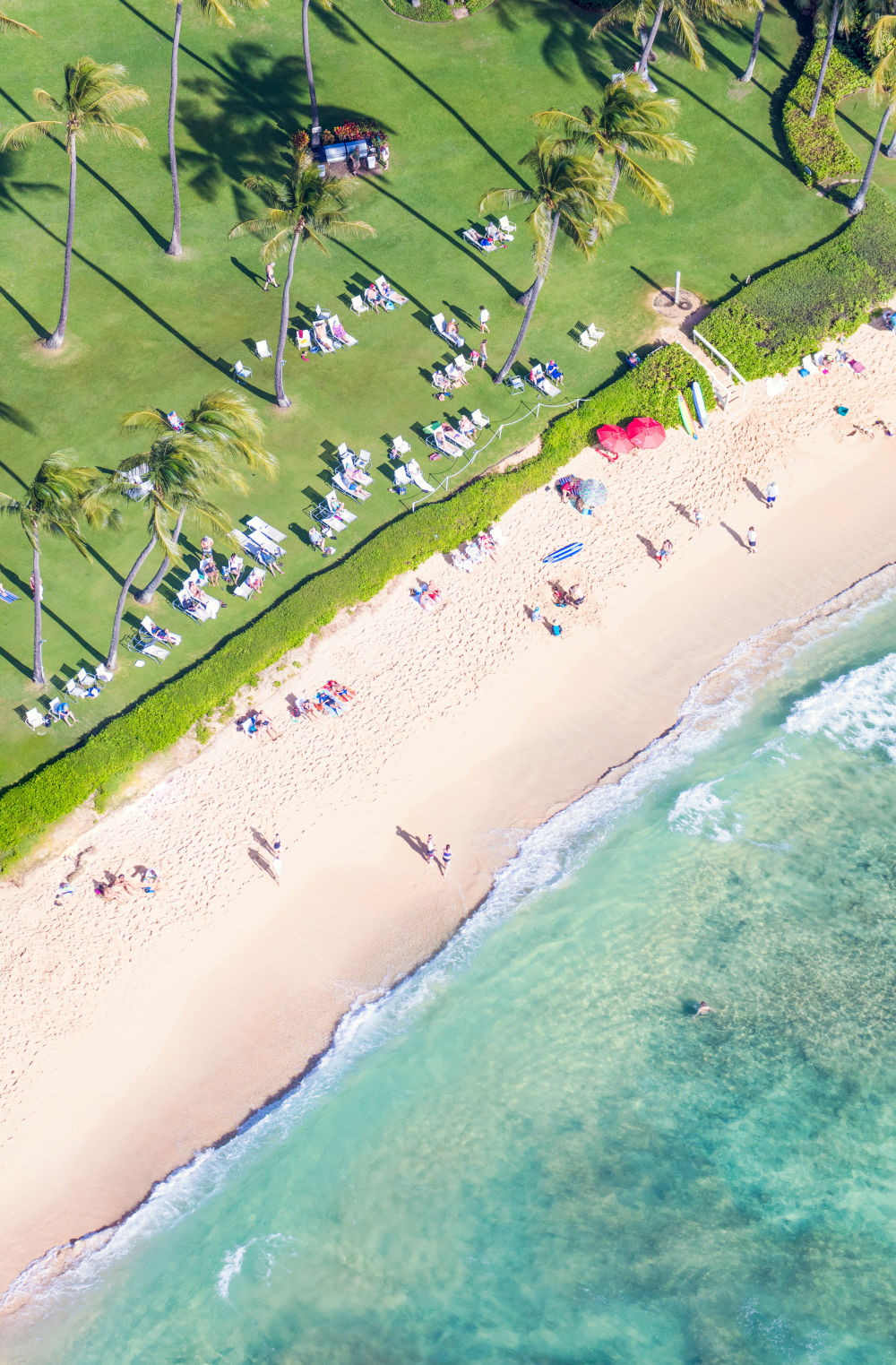 Photography by Gray Malin of Palm Tree Beach Vertical, Kauai