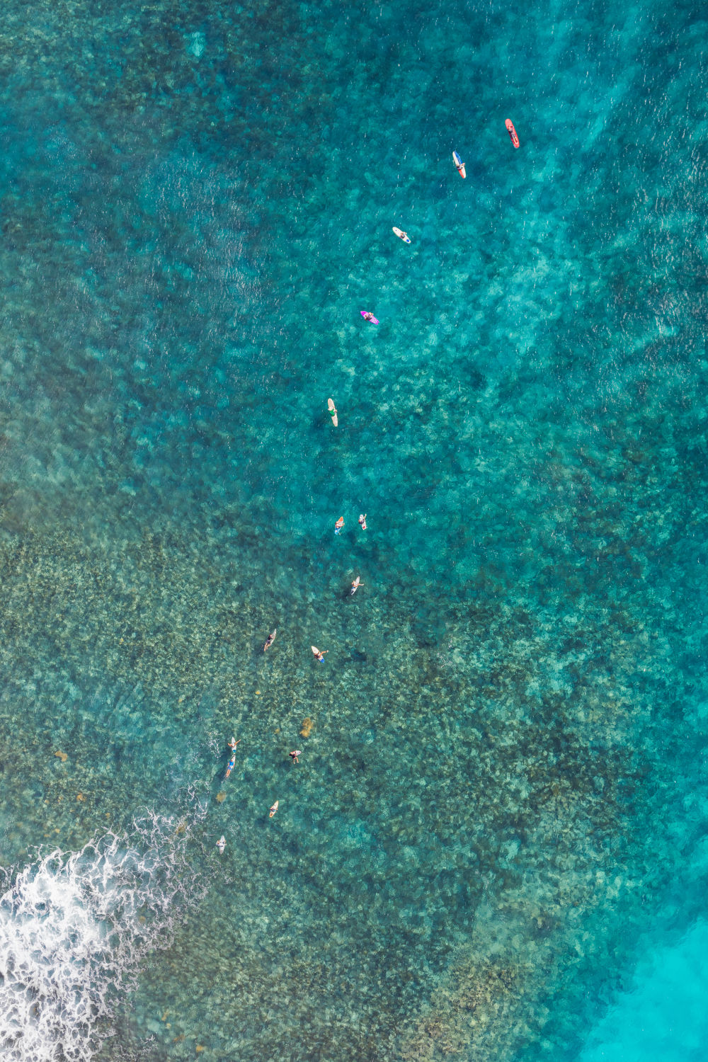 Photography by Gray Malin of St. Barths Surf School Vertical