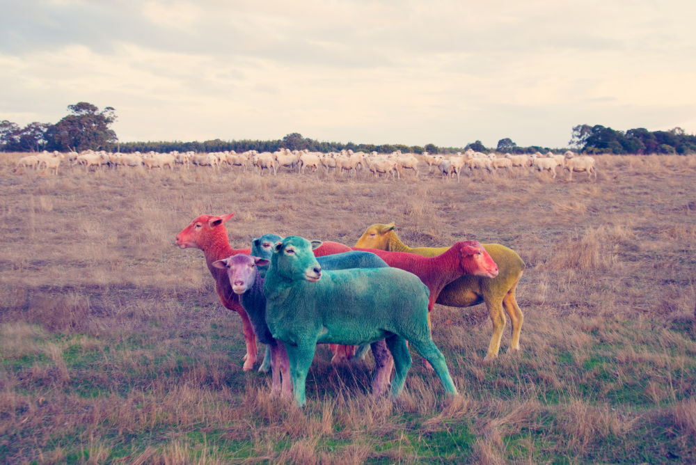 Photography by Gray Malin of Standing Out from the Crowd