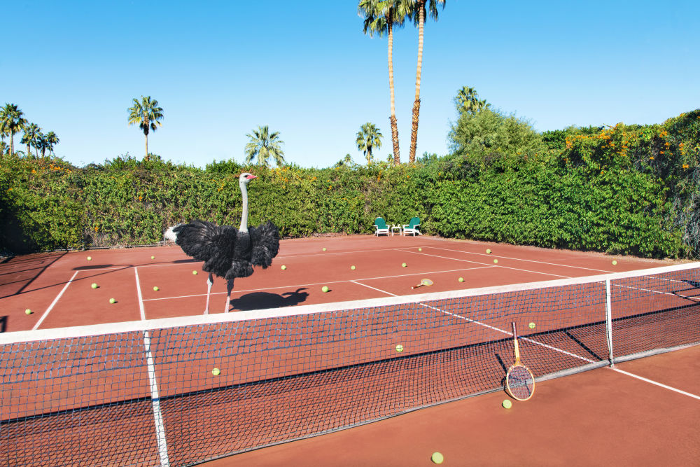 Photography by Gray Malin of Tennis Lesson