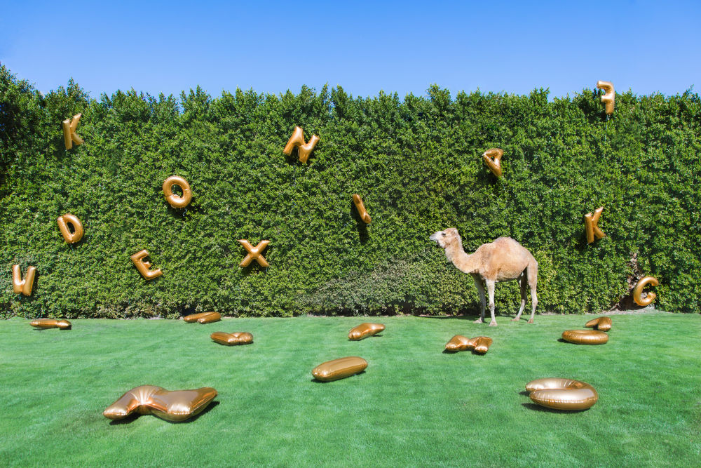 Photography by Gray Malin of The Gardener