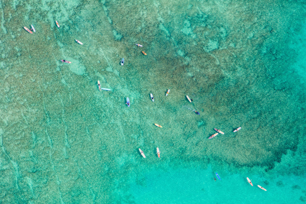 Photography by Gray Malin of Waikiki Surfers