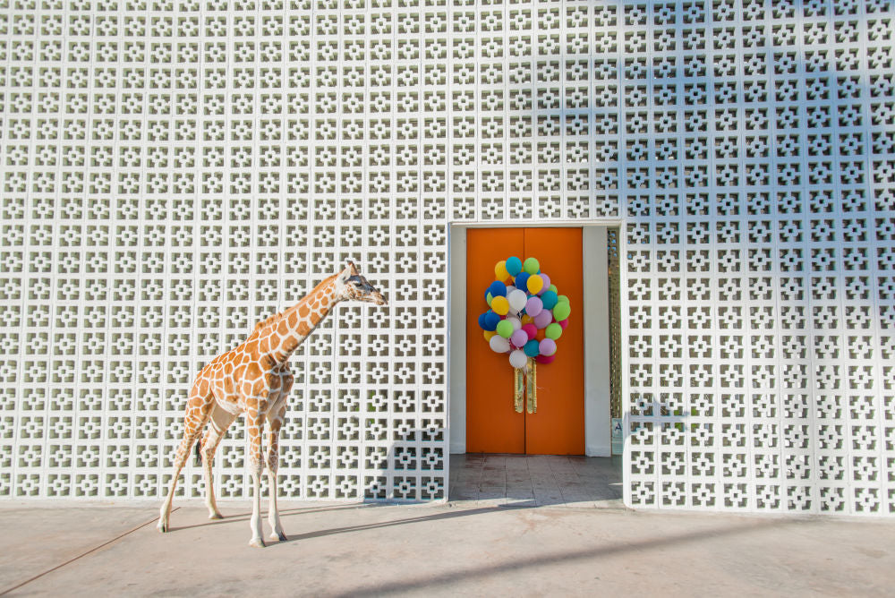 Photography by Gray Malin of Welcome to the Parker