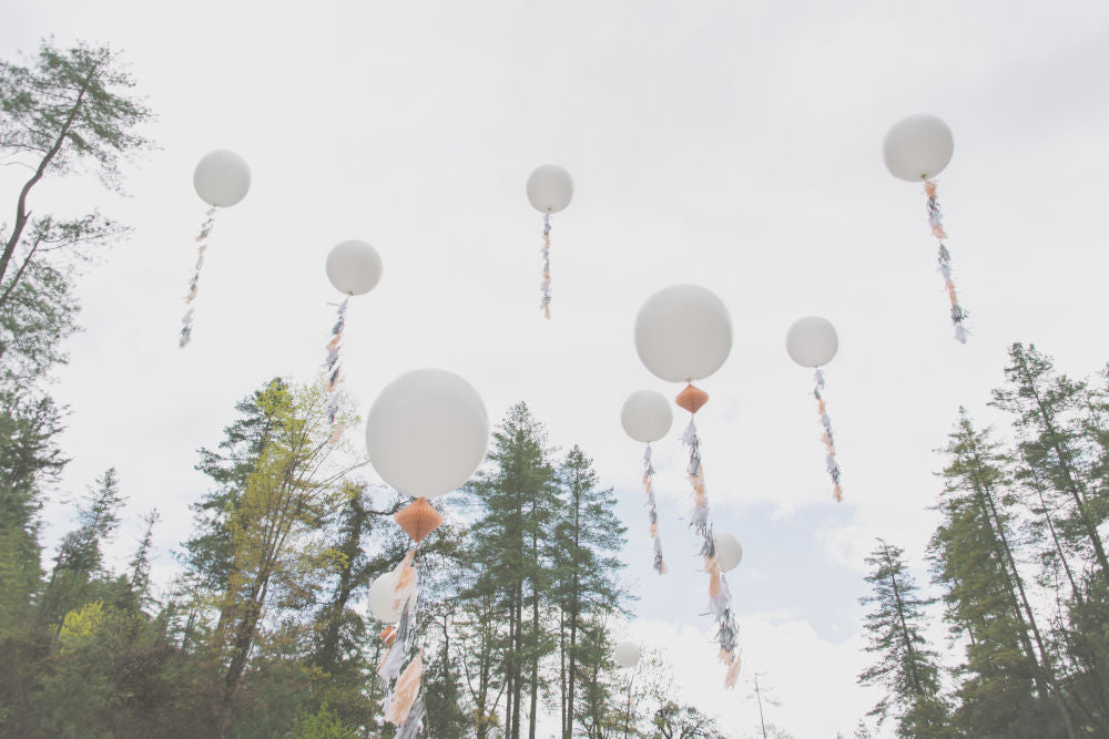 Photography by Gray Malin of Wishes in The Wind