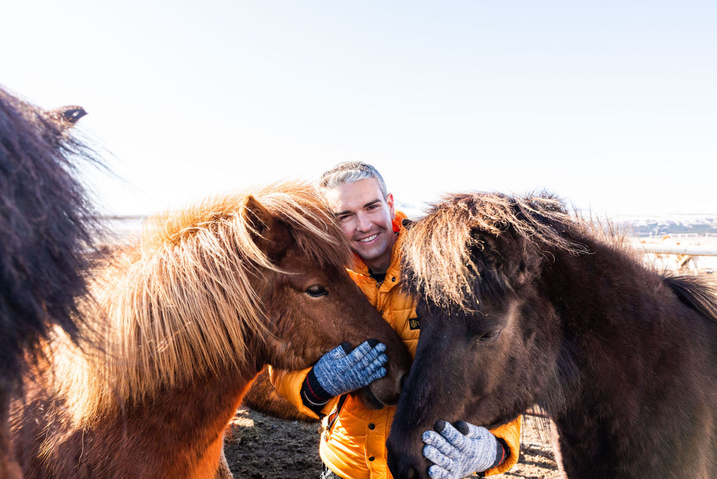 The Making of Icelandic Horses
