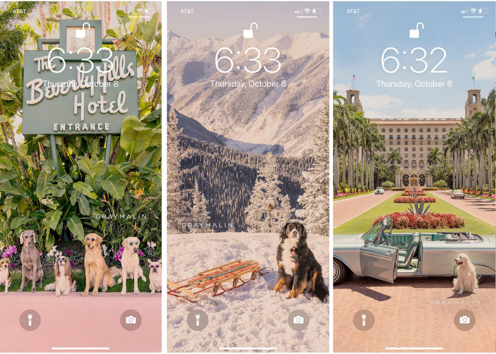 Free Dogs Phone Backgrounds