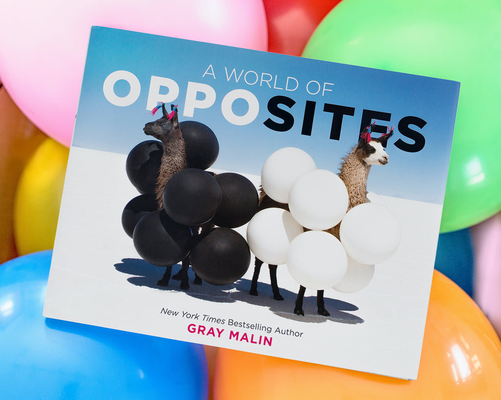Explore A World of Opposites with My New Children’s Book