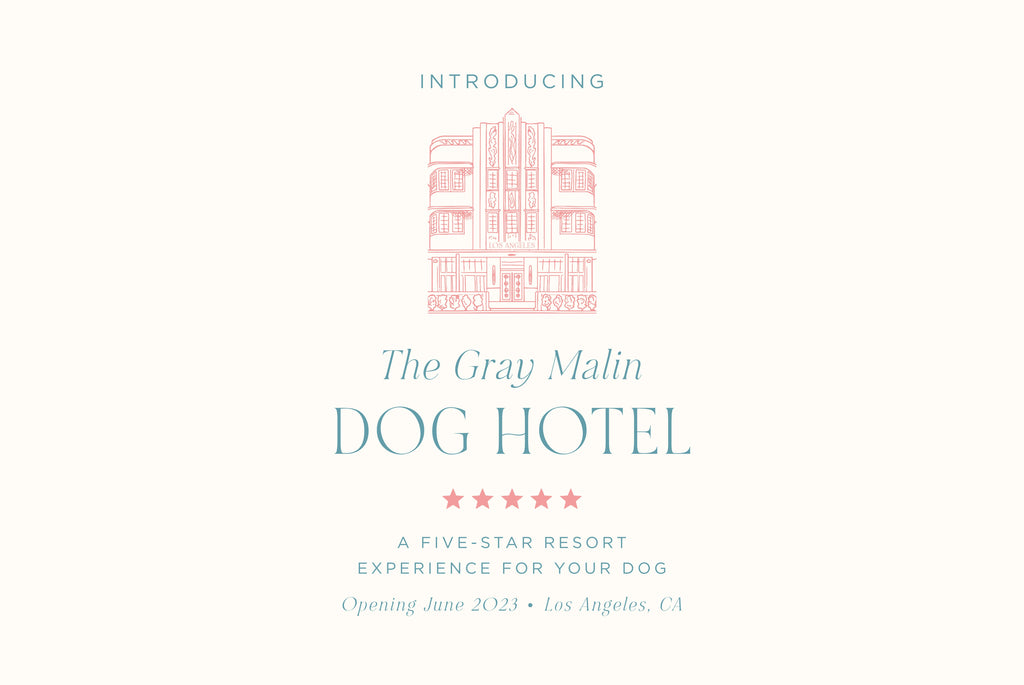 The Gray Malin Dog Hotel