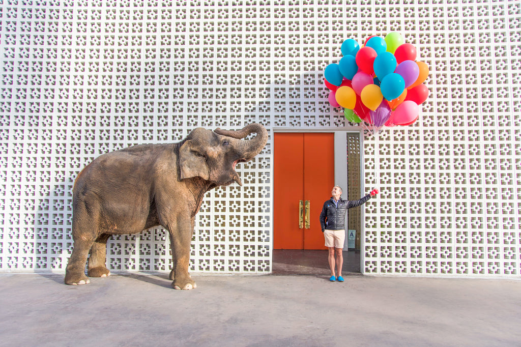 Through the Years with Gray Malin at the Parker series