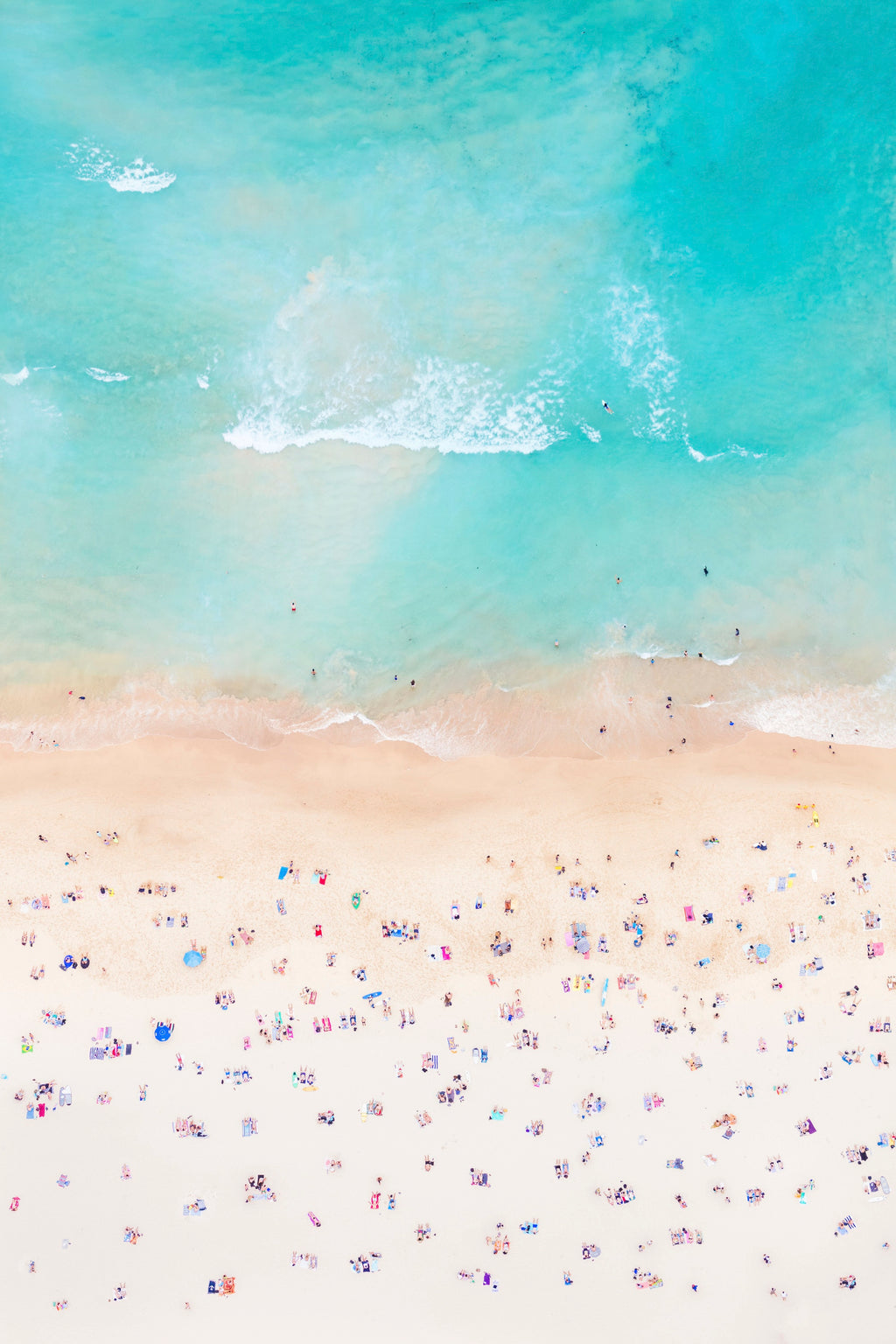 5 Things You Should Do On Your First Trip to Sydney, Australia