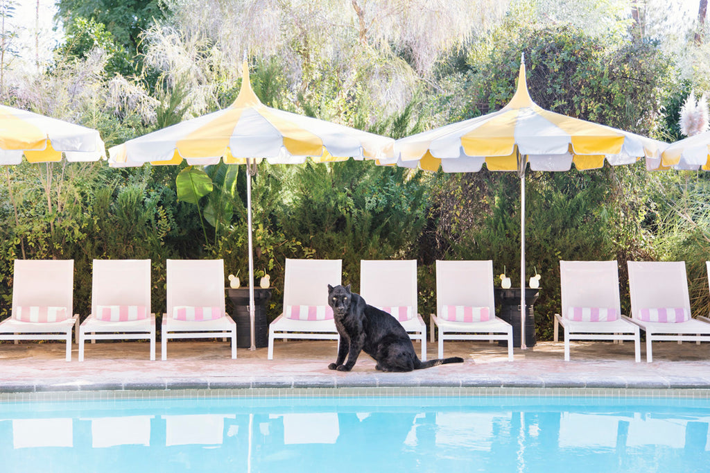 Summer Décor Wish List