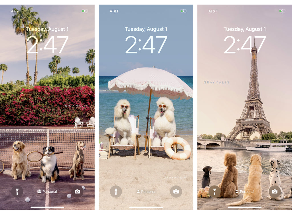Subscribe to Receive Free Phone Backgrounds!