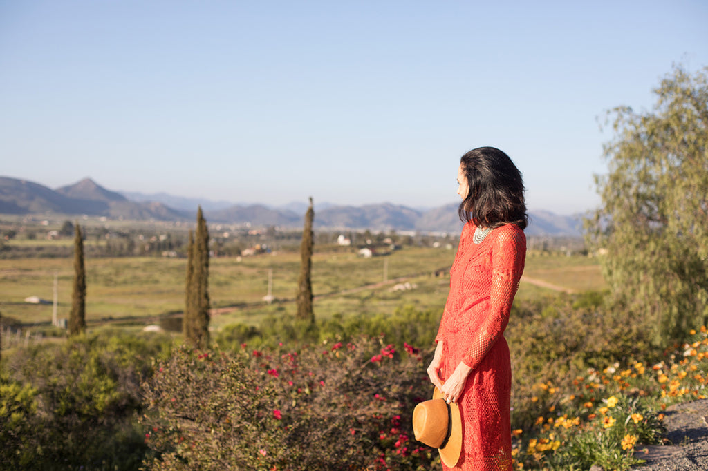 Mexico’s Valle De Guadalupe Wine Region