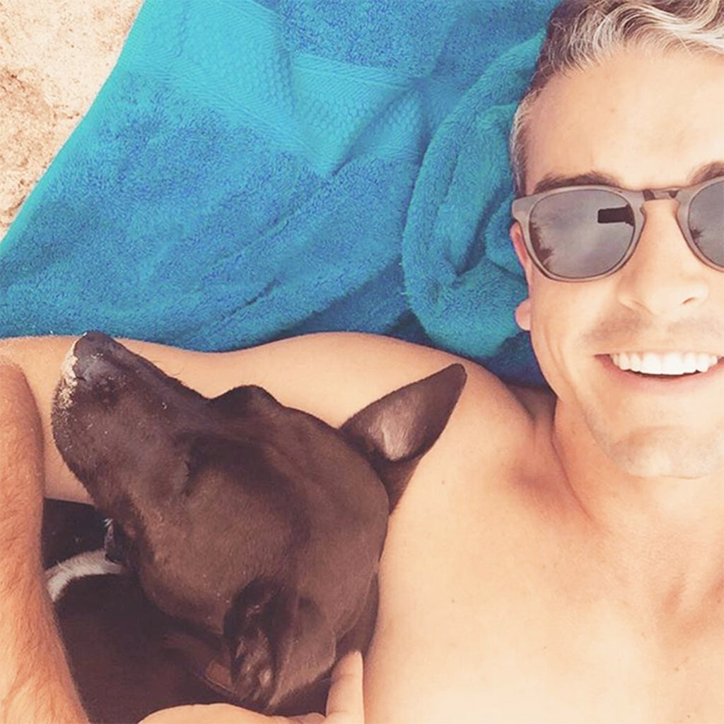 5 Tips for Traveling with Pets