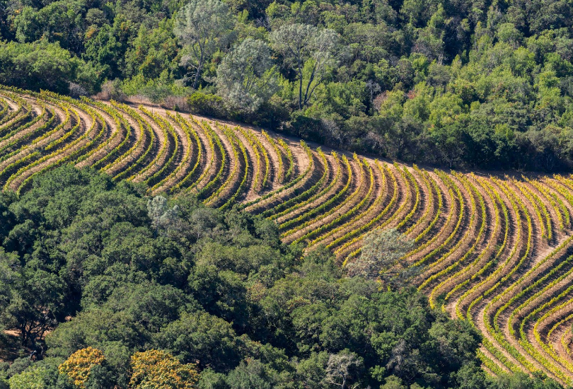 Napa Valley