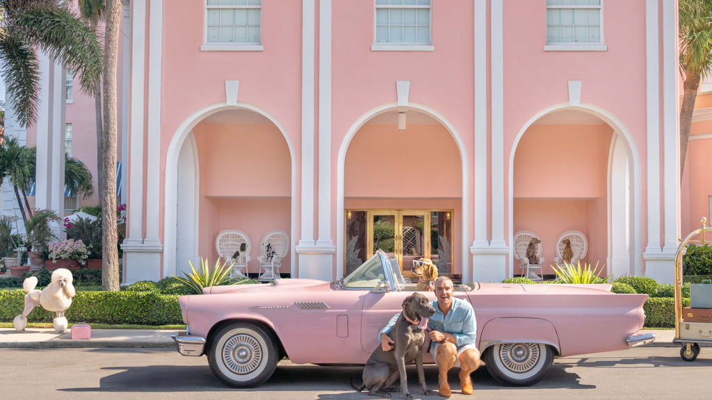 The Making of Dogs of Palm Beach