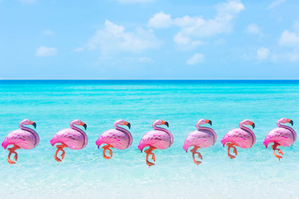 Fashionlaine and Flamingos