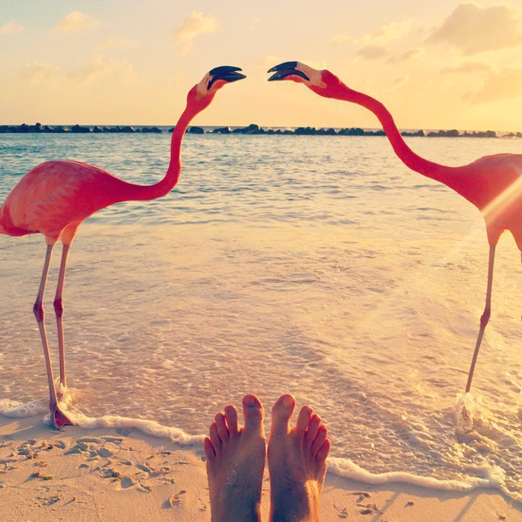 Summer is NOT Over Playlist