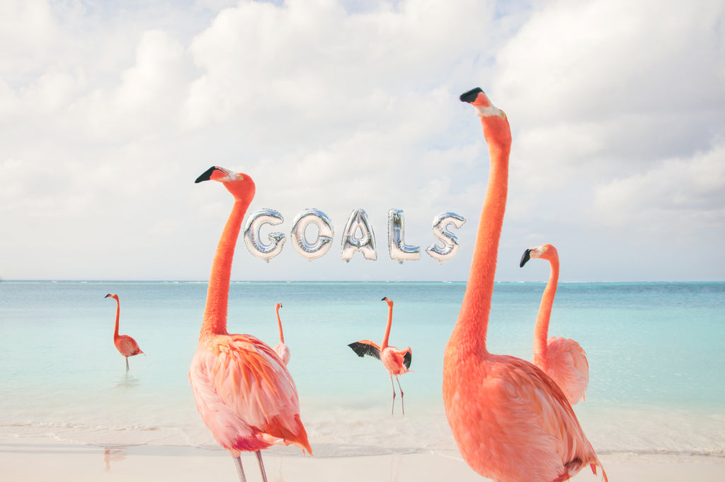 My New Year’s Resolutions