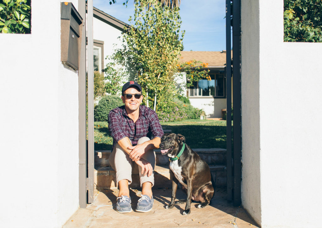 Dog Training Tips