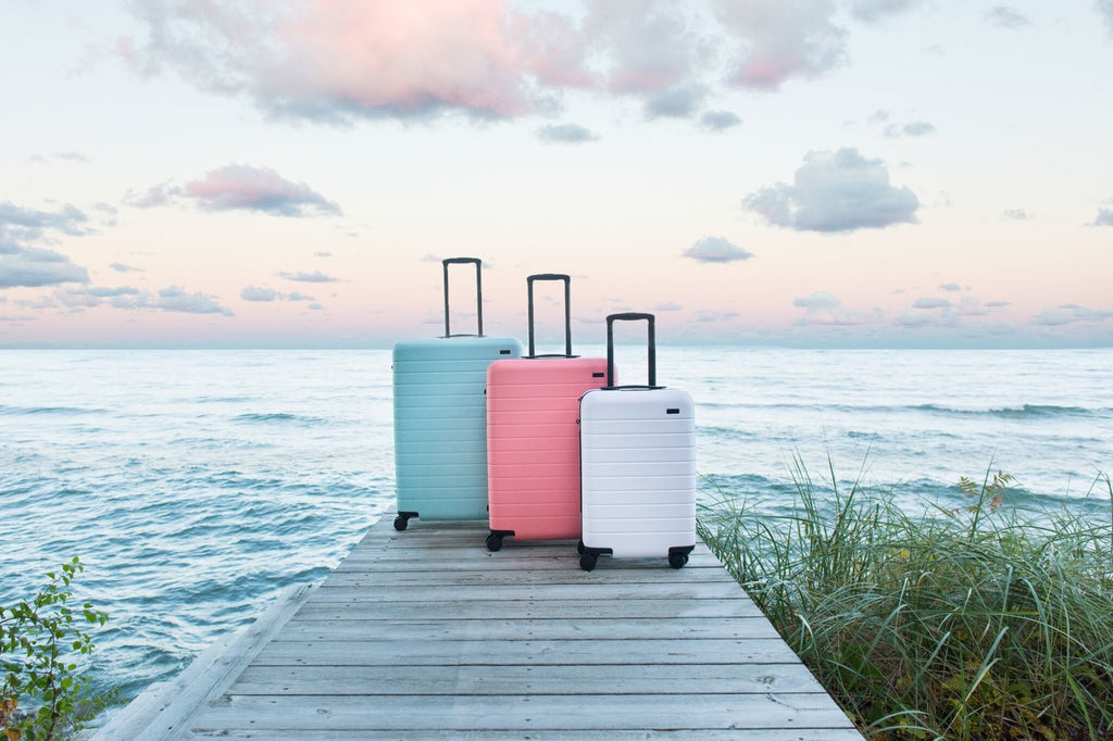Away x Gray Malin Luggage