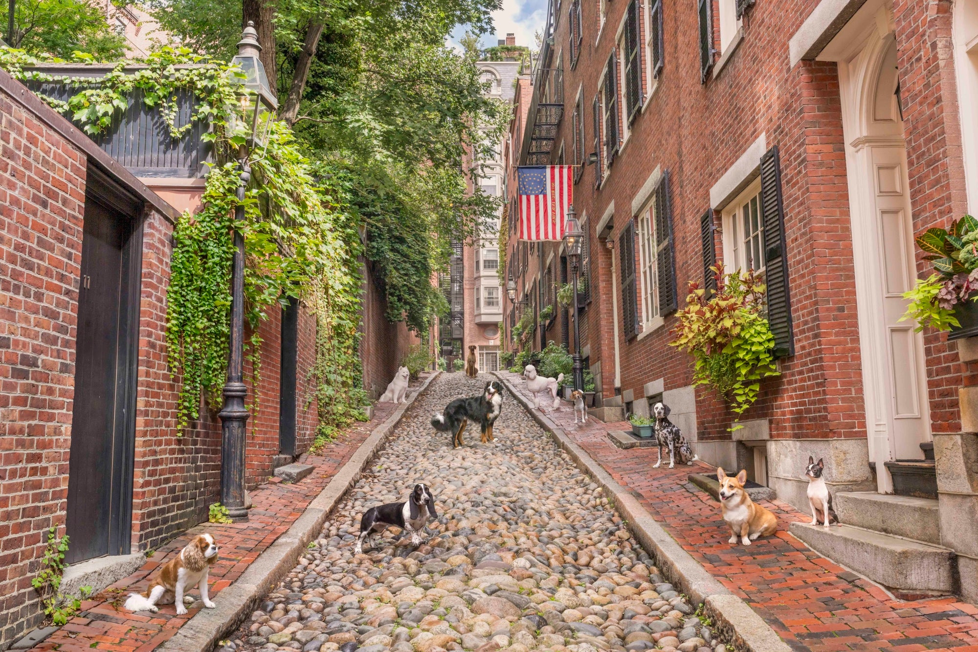 Acorn Street, Beacon Hill, Boston