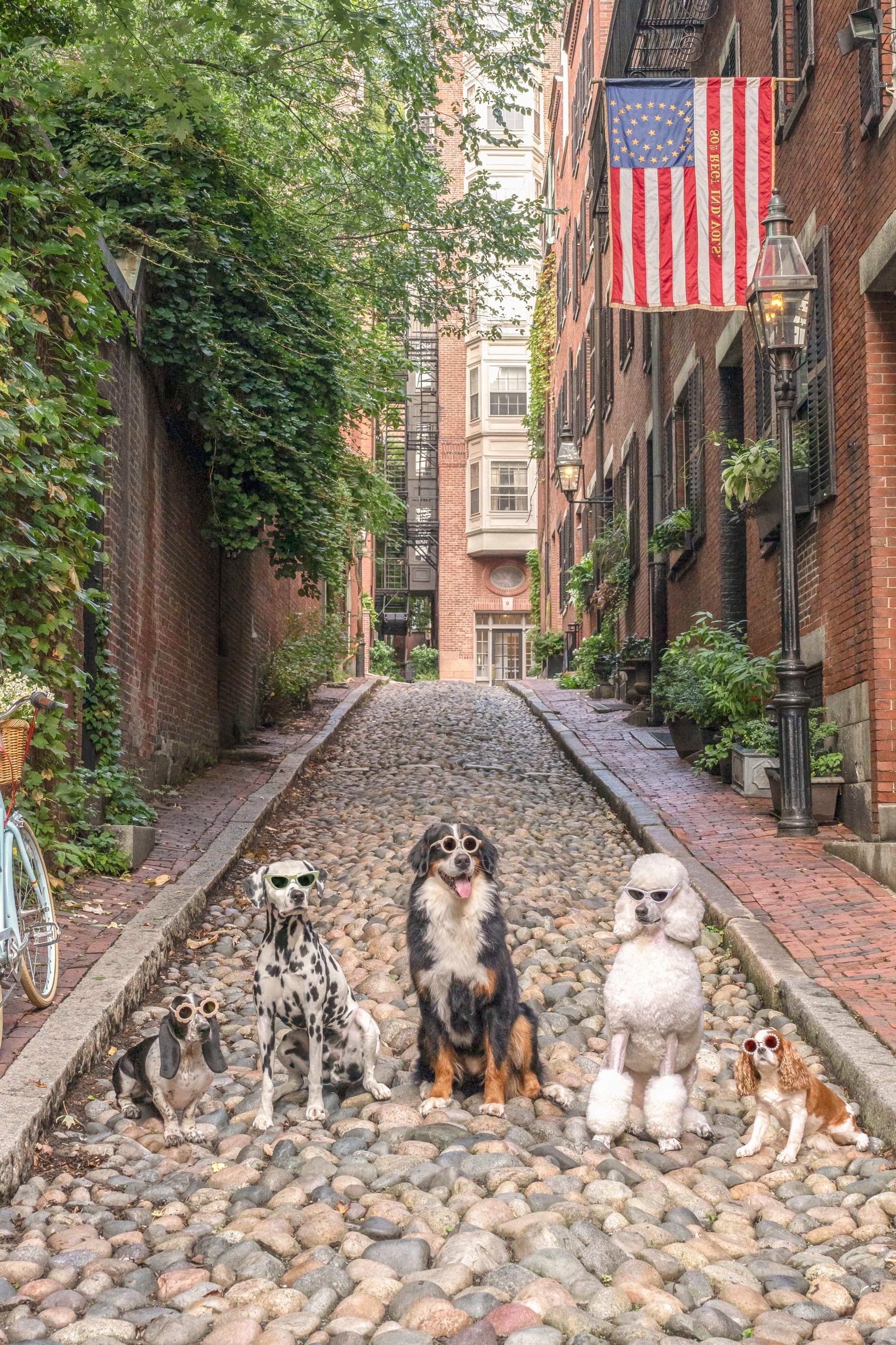 Acorn Street Vertical, Beacon Hill, Boston