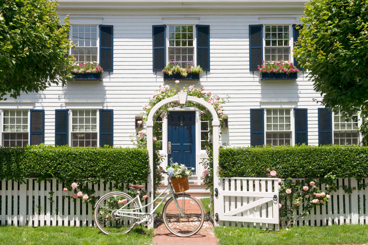Afternoon Bike Ride, Martha’s Vineyard
