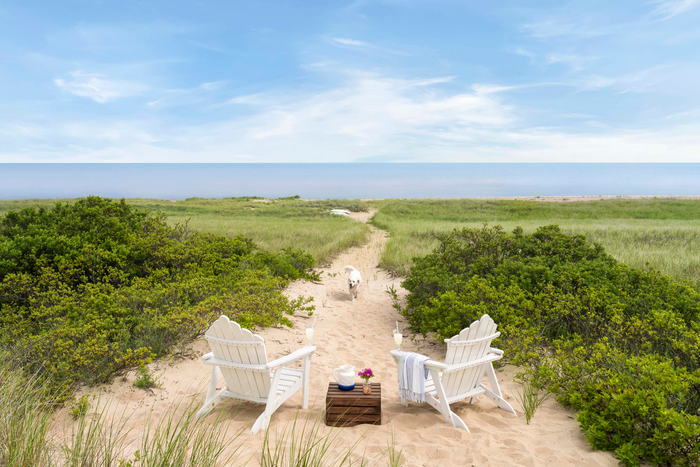 Afternoon View, Martha’s Vineyard
