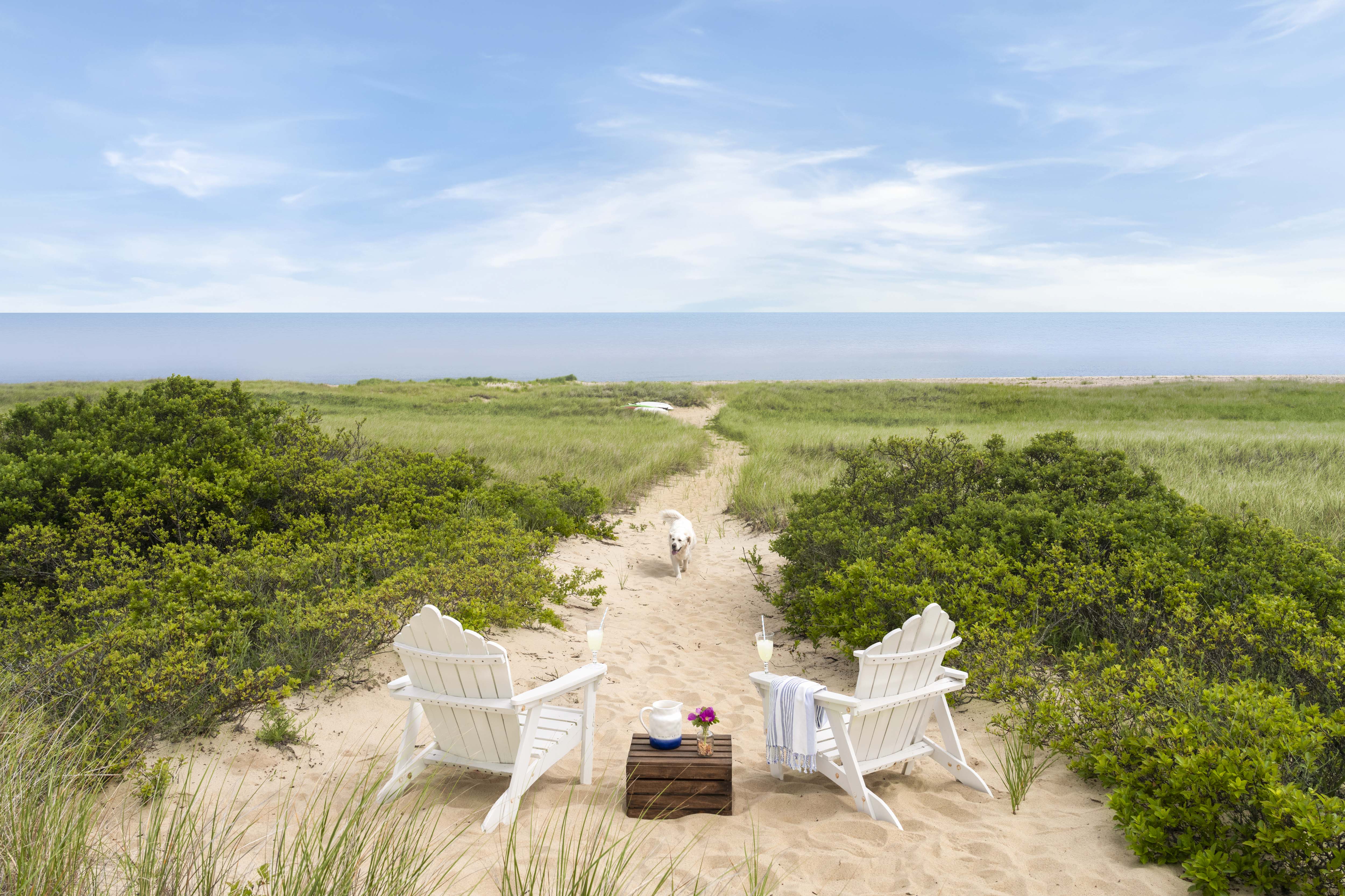 Afternoon View, Martha’s Vineyard