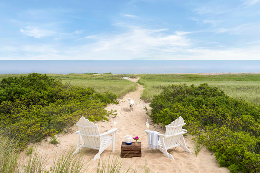 Afternoon View, Martha’s Vineyard