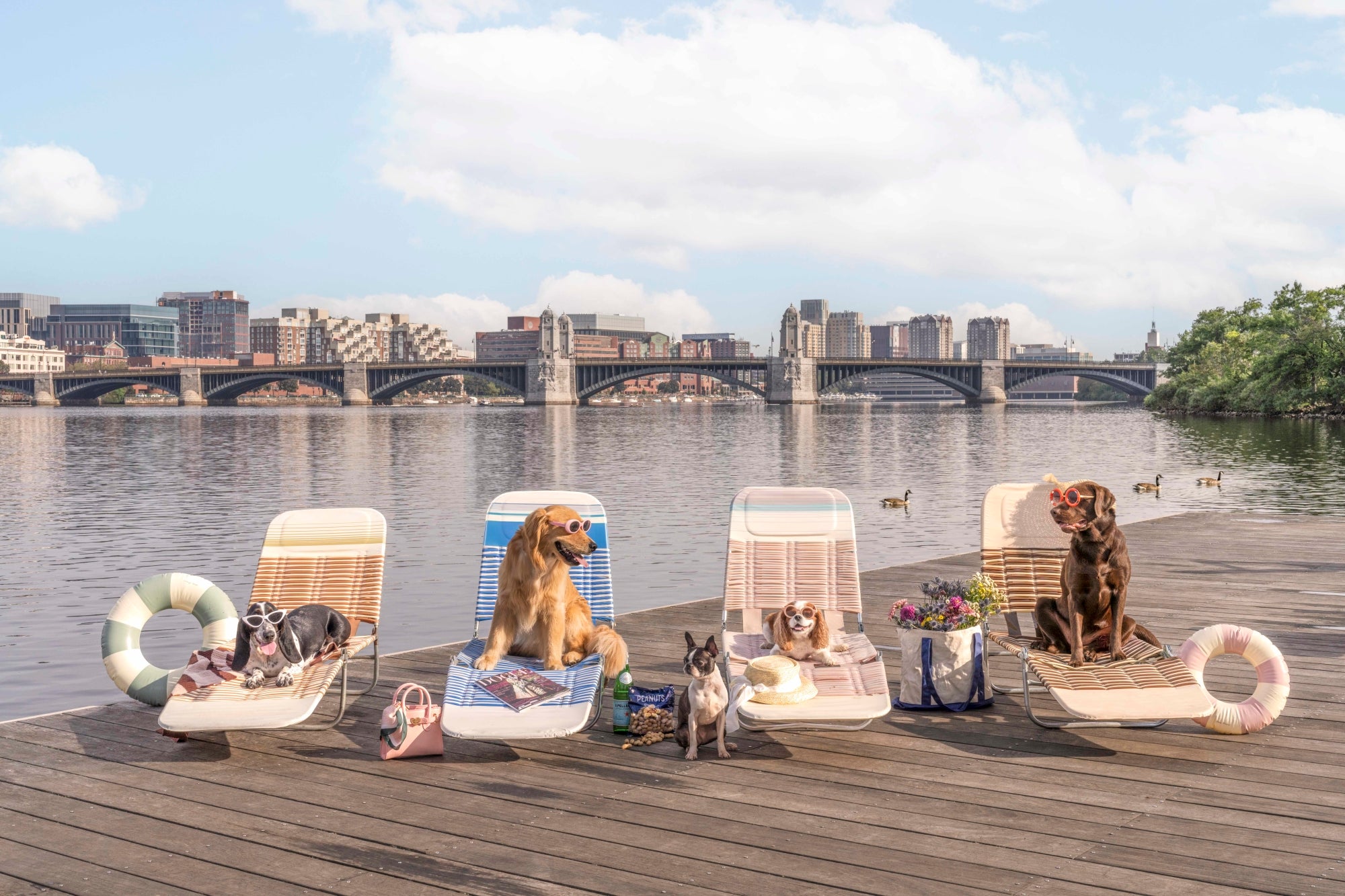 Afternoon on the Esplanade, Charles River, Boston