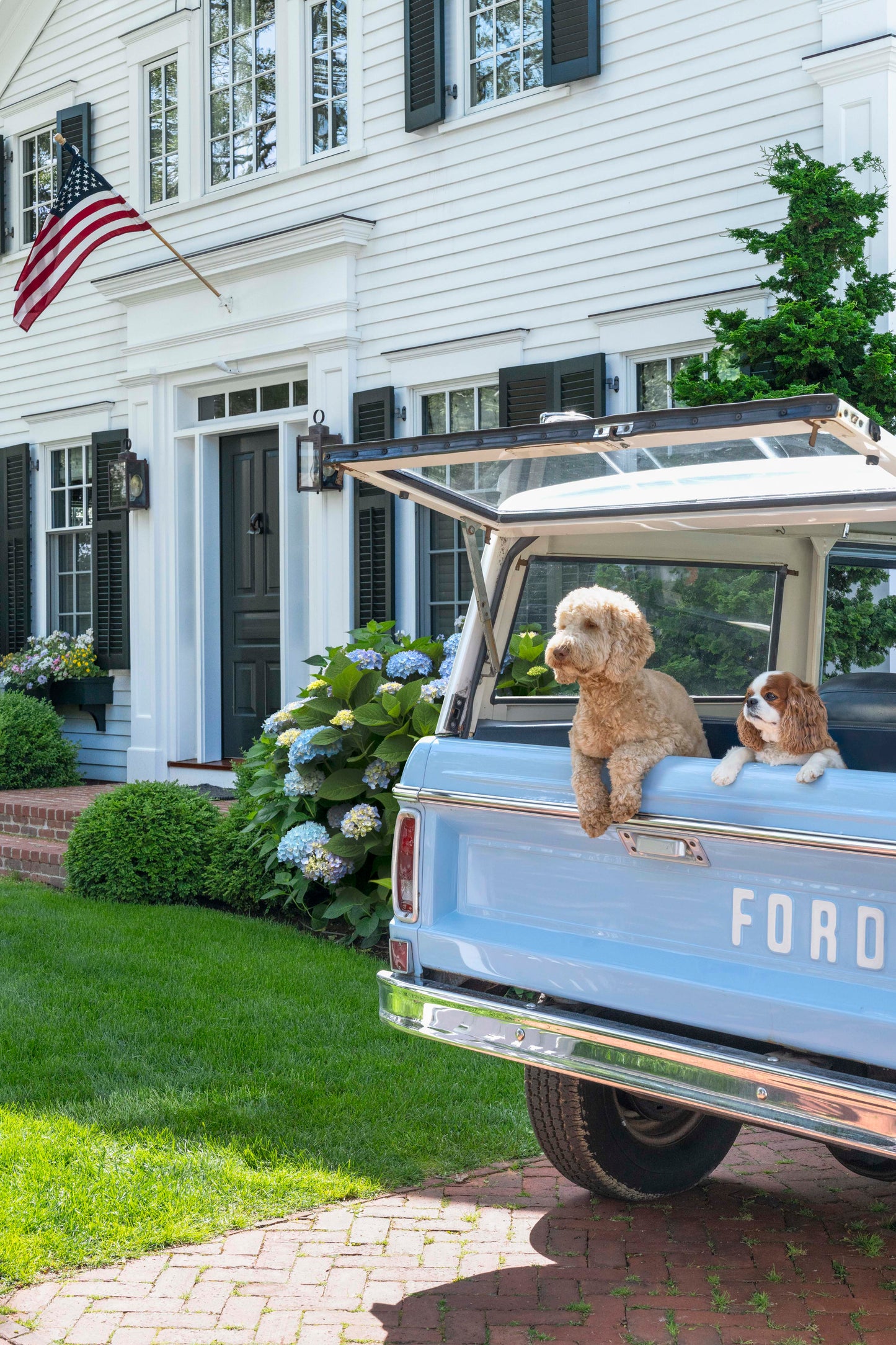 American Summer, Martha’s Vineyard