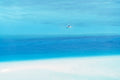 Atlantic Ocean, Abaco, Bahamas