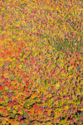 Autumn Canopy Triptych, New England