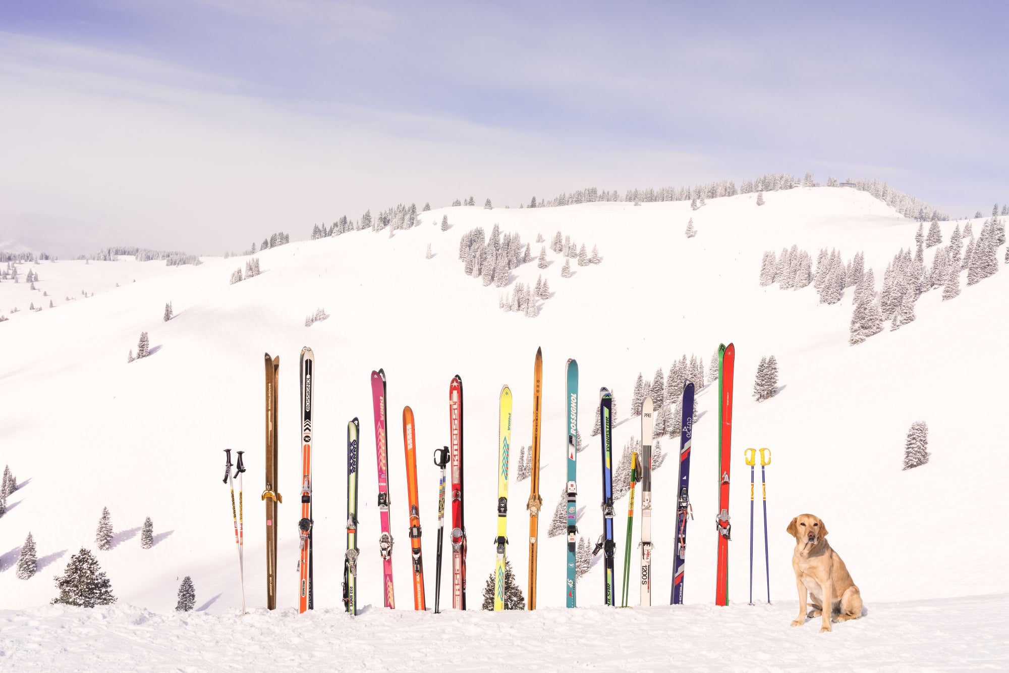 Back Bowls Vista, Vail – Gray Malin