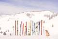 Back Bowls Vista, Vail