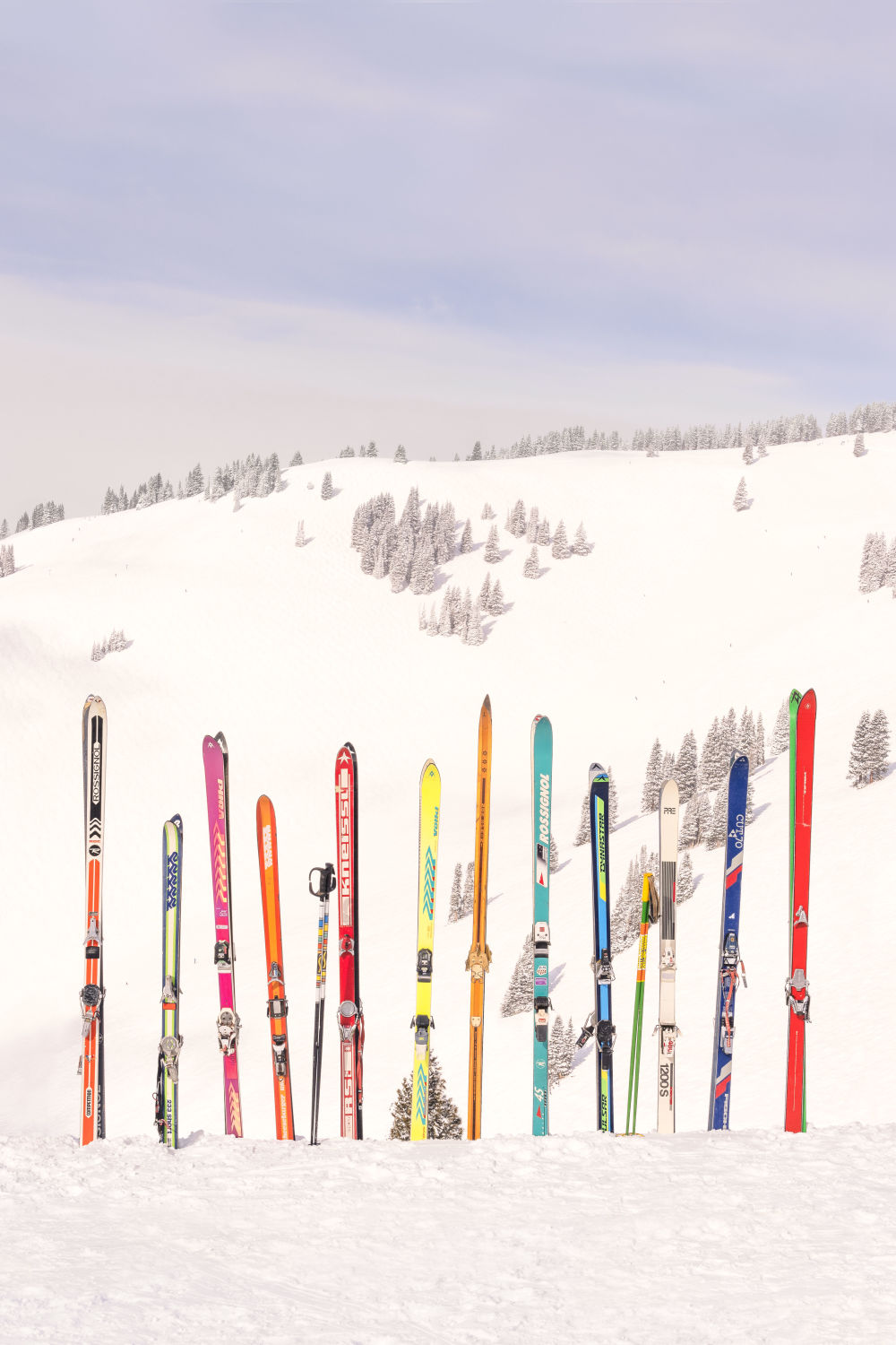 Back Bowls Vista Vertical, Vail