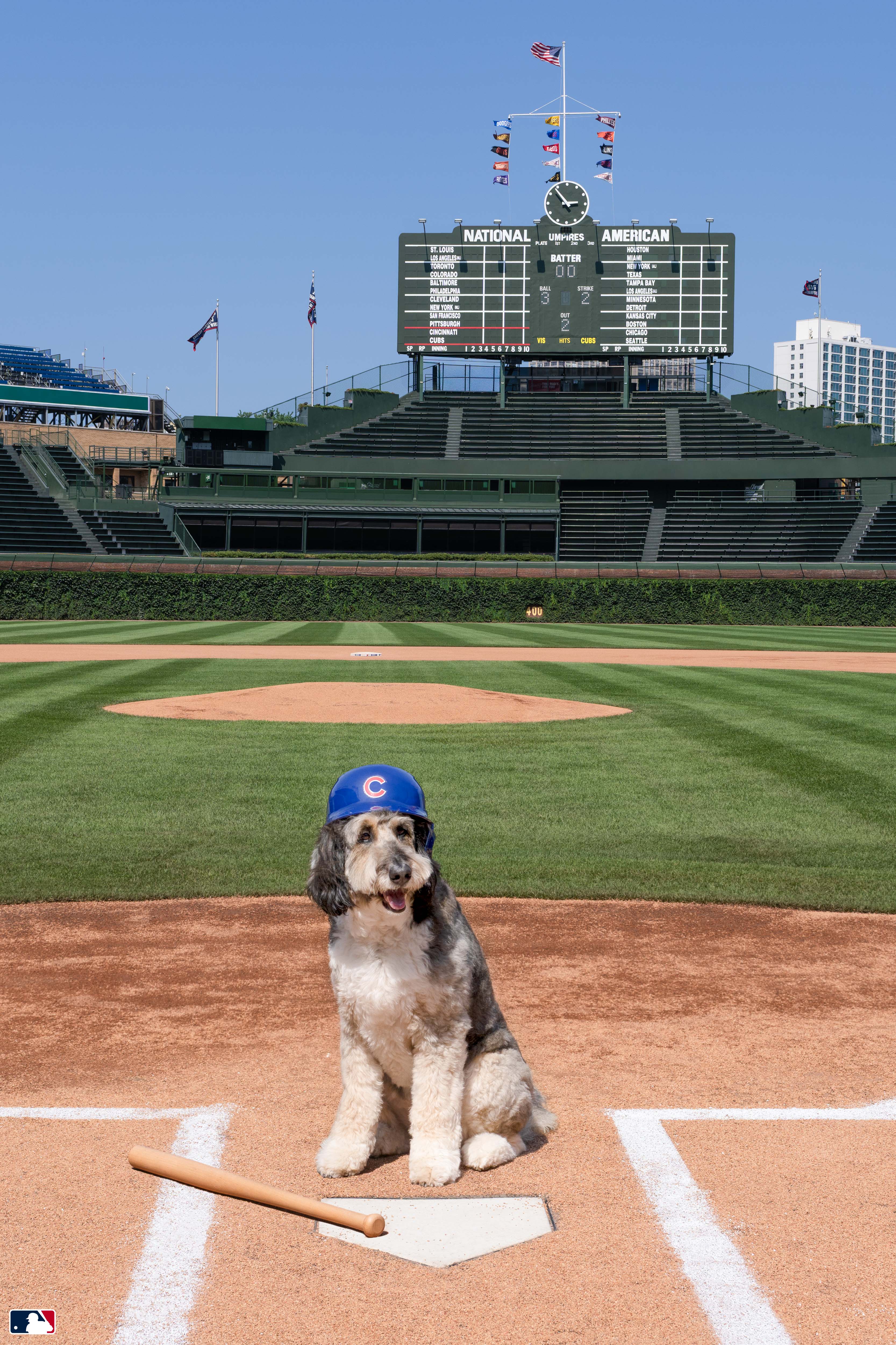 Batter Up, Wrigley Field, Chicago