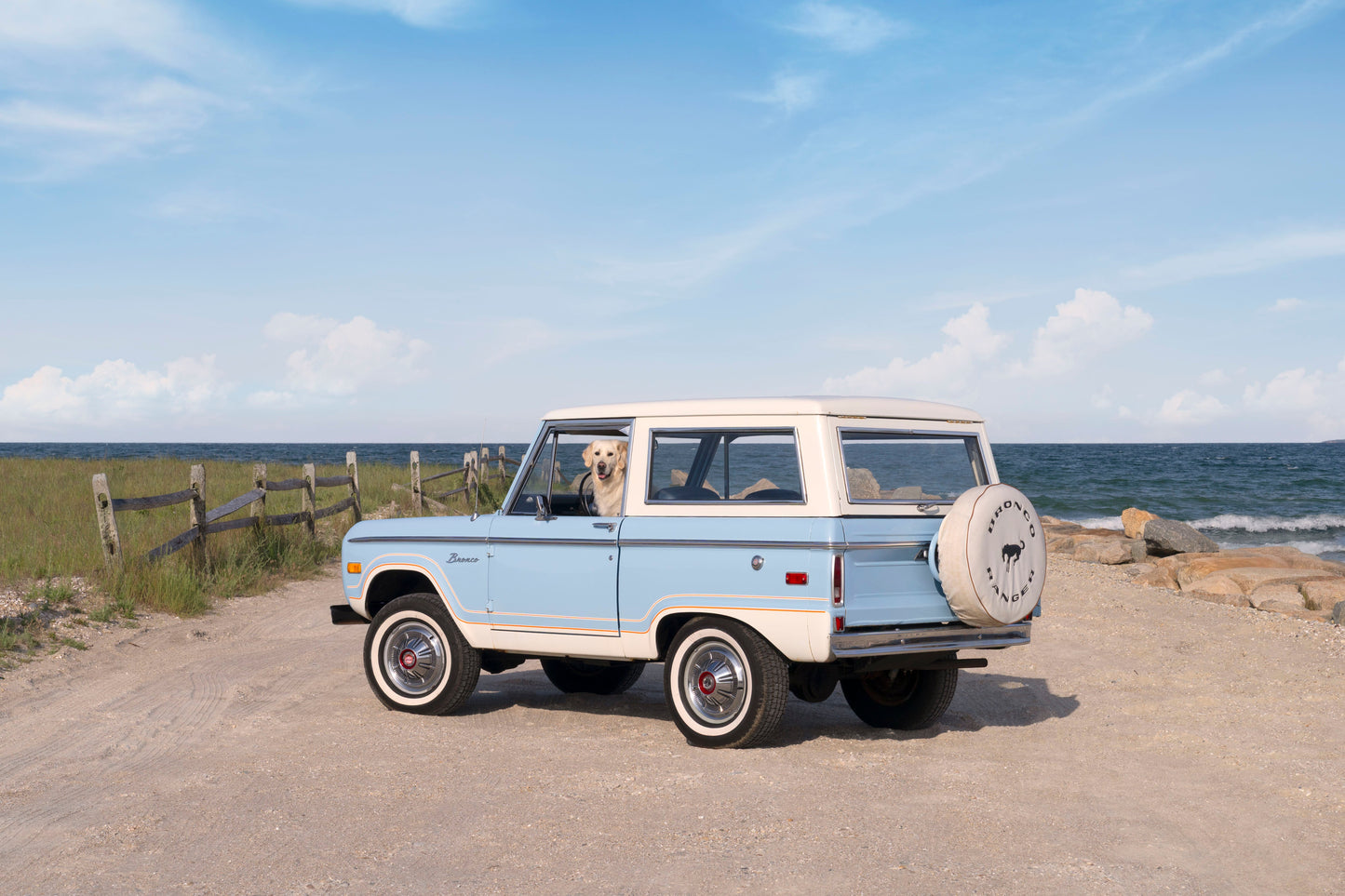 Beach Bronco Pup, Martha’s Vineyard