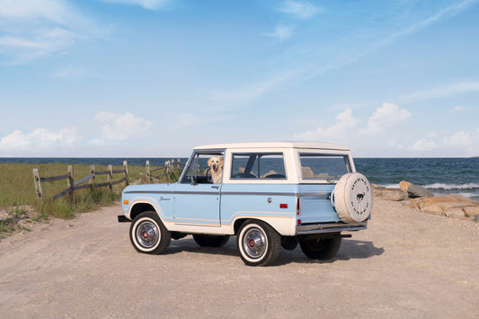 Beach Bronco Pup, Martha’s Vineyard