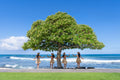 Beach Tree Paradise, Four Seasons Hualalai, Hawai’i