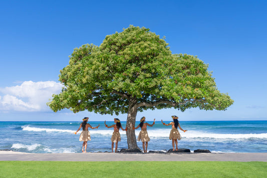 Beach Tree Paradise, Four Seasons Hualalai, Hawai’i