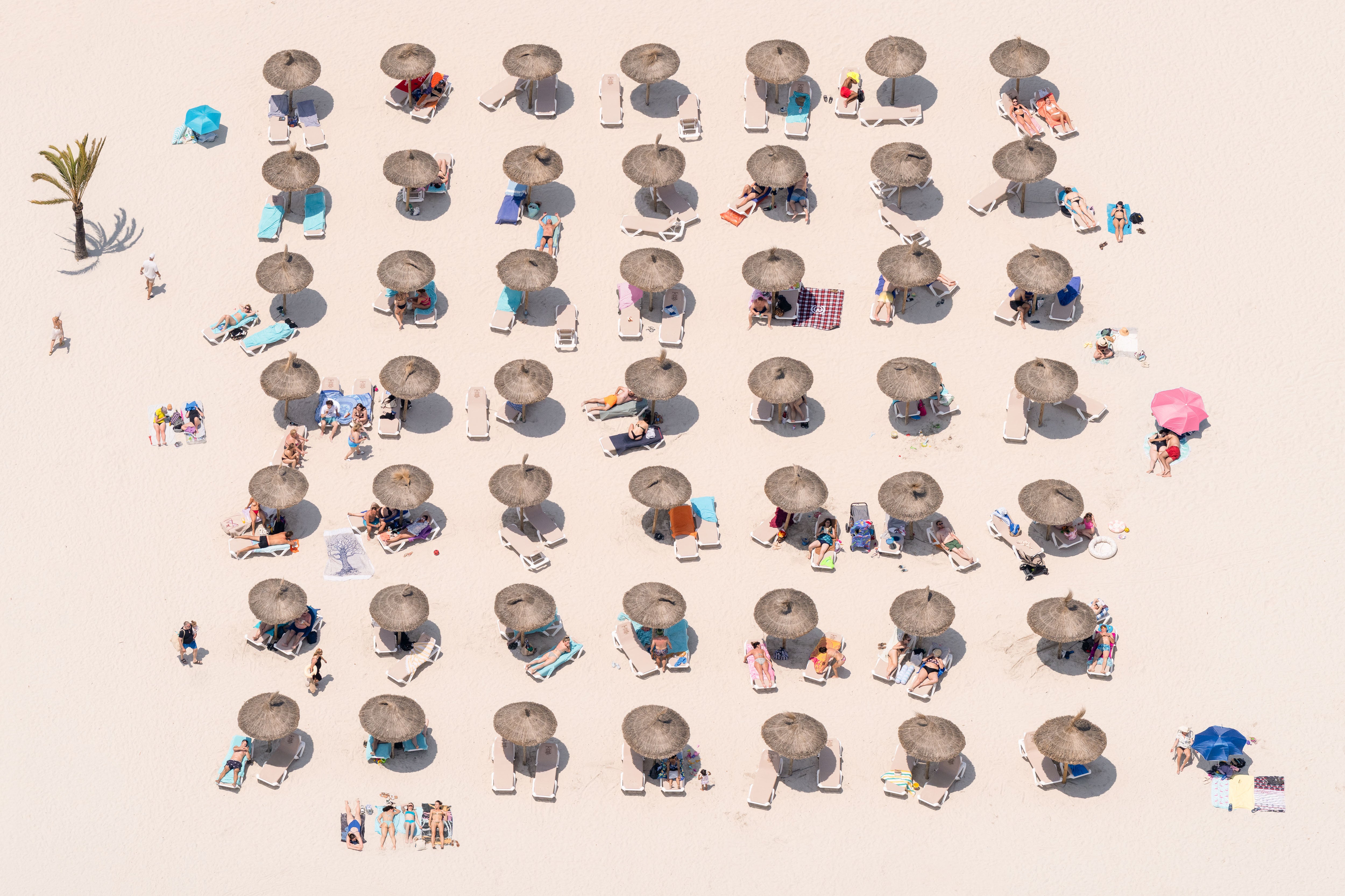 Beach Umbrellas, Playa de Alcúdia, Mallorca