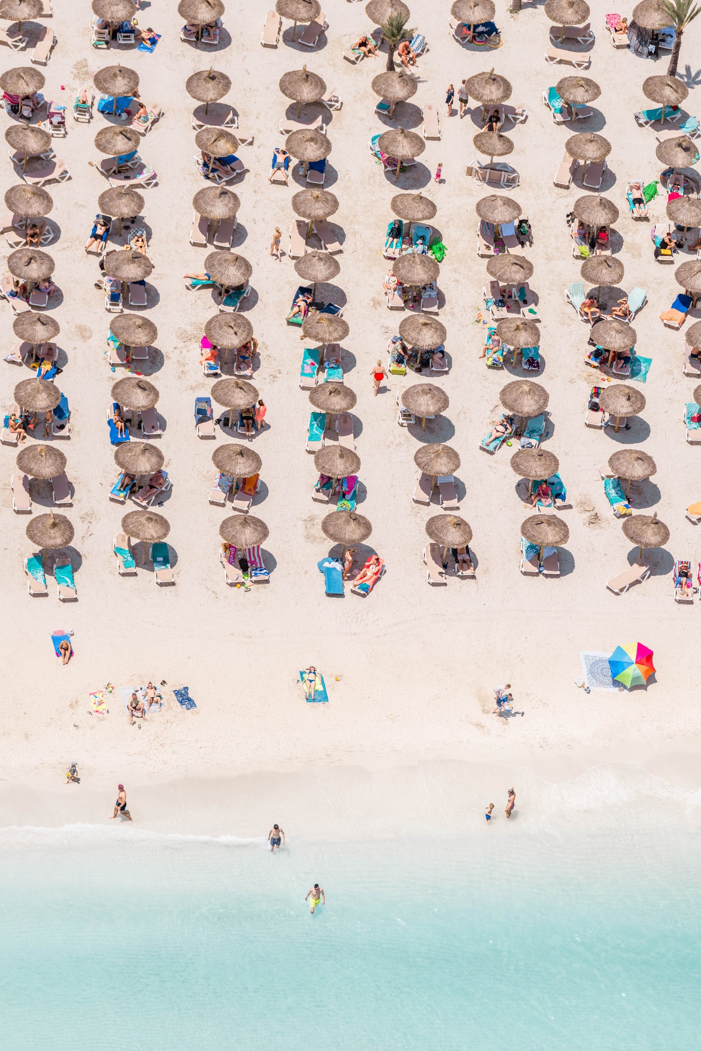 Beach Umbrellas Vertical, Playa de Alcúdia, Mallorca