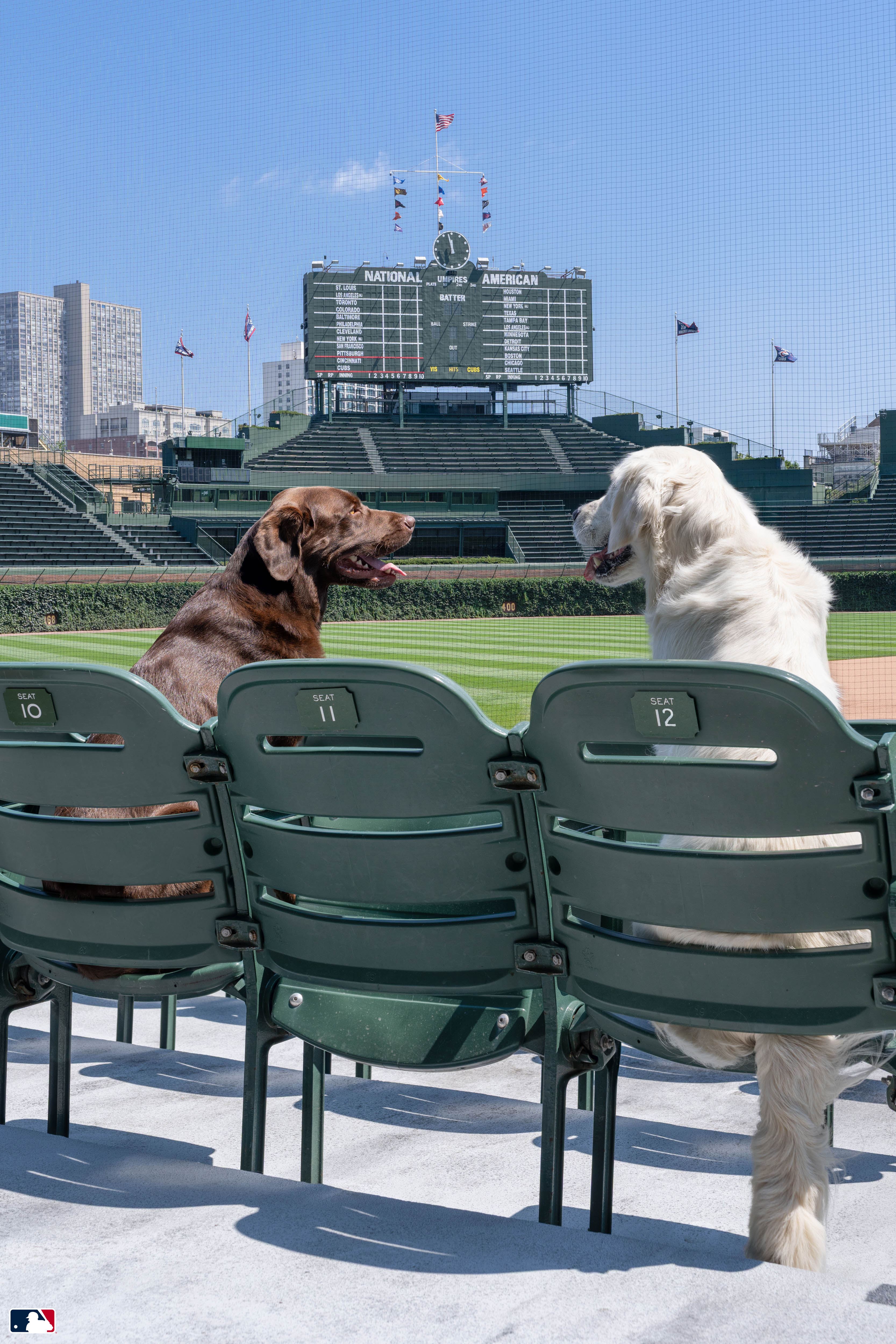 Best Seats in the House, Wrigley Field, Chicago