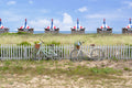 Bike Ride, Chappaquiddick, Martha’s Vineyard