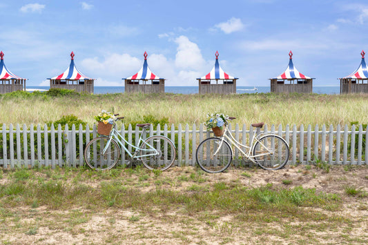 Bike Ride, Chappaquiddick, Martha’s Vineyard