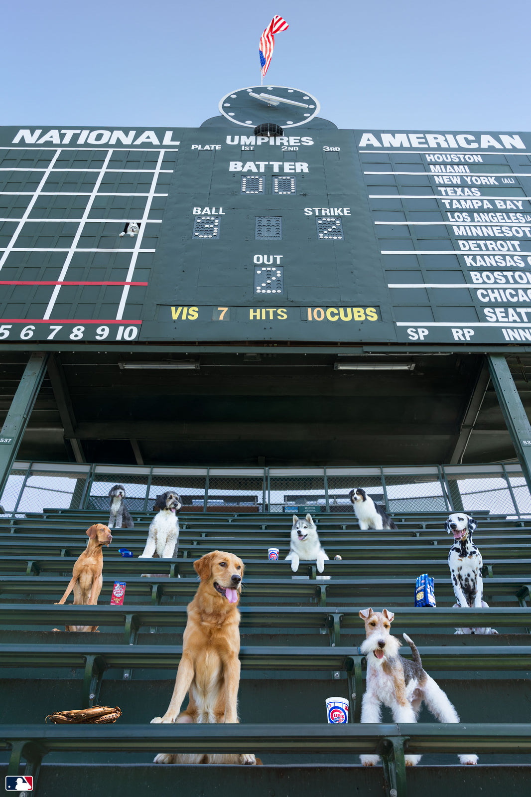 Bleacher Bums, Wrigley Field, Chicago