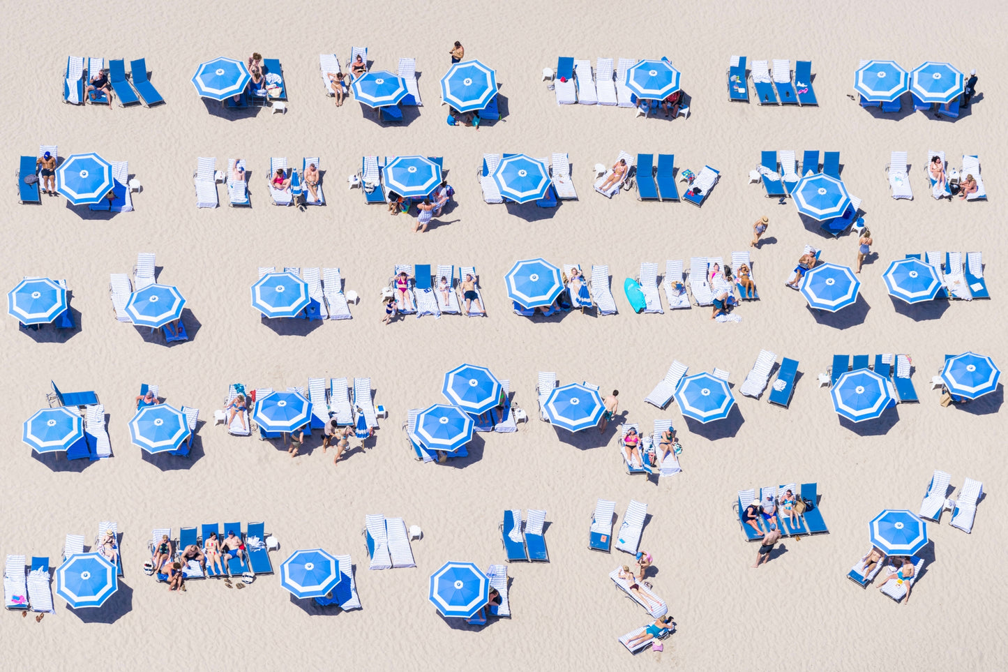 Blue Beach Umbrellas, Fort Lauderdale, Florida